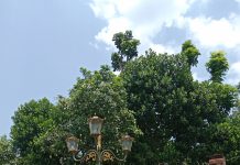 Gerbang Sejarah Islam di Selatan: Ziarah ke Makam Sunan Pandanaran